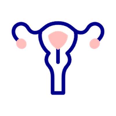 Menstrual Health & Hormonal Balance
