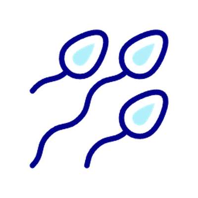 Fertility & Reproductive Health